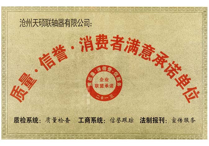 企業(yè)聯盟承諾